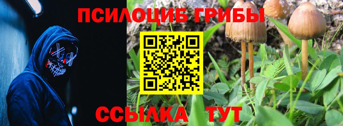Псилоцибиновые грибы MAGIC MUSHROOMS  продажа наркотиков  Спасск-Дальний  Вход с VPN 
